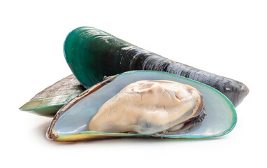 Steamed or cooked food of fresh beautiful green mussels in stack isolated on white background with...