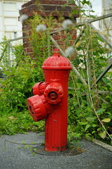 roter Hydrant in Frankreich
