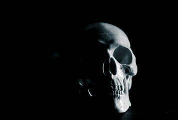 scary human skull horror Halloween