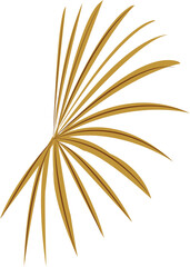 Fototapeta premium Fall and Autume Dried leaves and Floral