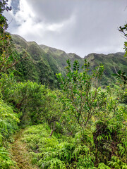 Maunawili Trail on the Hawaiian island of Oahu - 633685887
