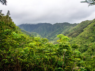 Hauula Forest Reserve on the Hawaiian island of Oahu - 633685896