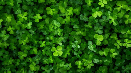 A Green shamrocks leaves background