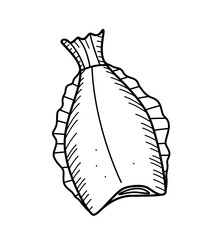 Halibut drawing doodle sketch of a headless fish. Flounder vector illustration of raw or dried fish, seafood.