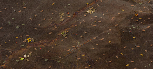 land of jungle, nature leaves, tree, flowers, high glossy vitrified tile design