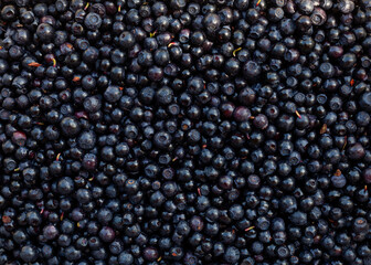 Blueberries texture