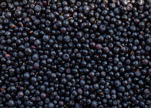 Blueberries texture