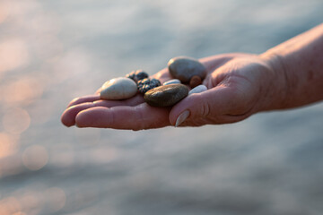 Sea pebbles on the hand of an adult woman in the rays of the setting sun
