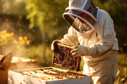 Beekeeper is working with bees in apiary