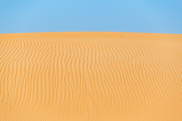Lonely Golden Sand Dunes Under Bright Blue Sky. Desert Landscape