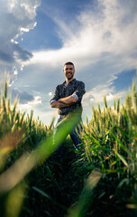 Naklejka na ściany i meble Portrait of young farmer standing in a green wheat field at sunset looking at camera.