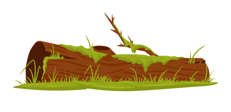 Moss growing on wood trunk. Cartoon swamp moss, rainy forest lichen plants grows on wooden log flat vector illustration