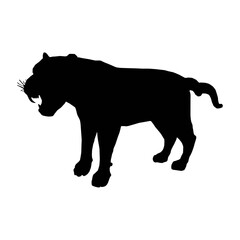 Obraz na płótnie Canvas lion silhouette vector