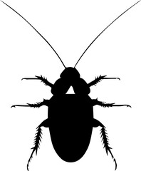 Australian Cockroach icon 1