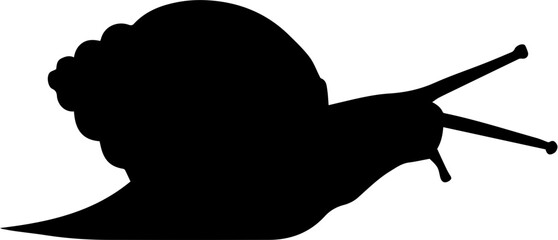 Assassin Snail icon 3