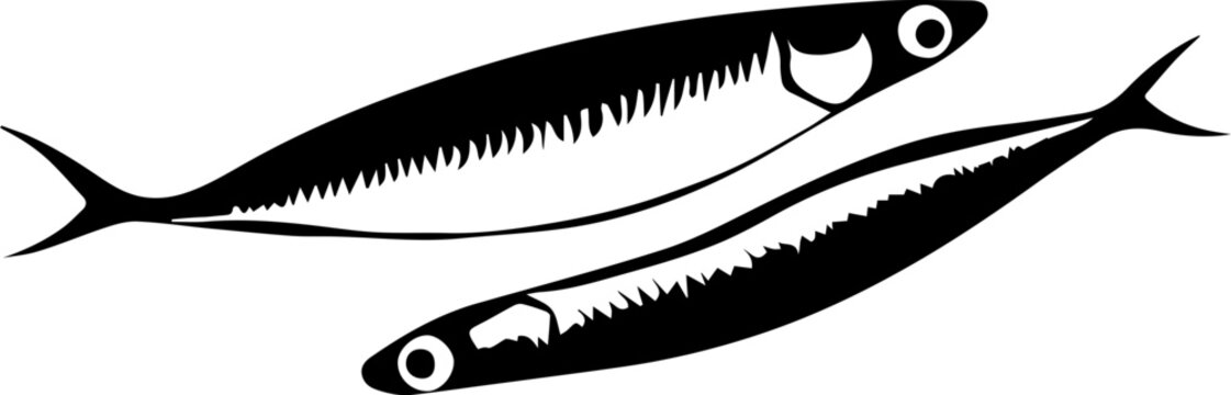 Anchovies Fish Icon