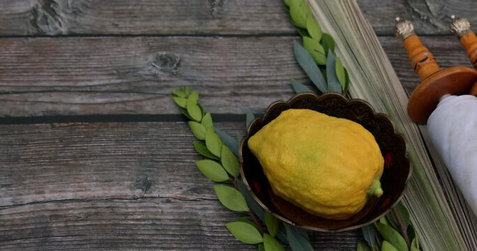 Jewish Orthodox festival of Sukkot incorporates several traditional symbols, including four species Etrog, lulav, hadas, arava.