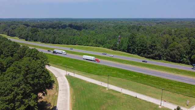 Lush green Loblolly pine tree Pinus taeda in forestry site along highway interstate 10 (I-10) near entrance to rest area in Greenwood, Louisianan, USA