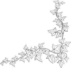 Simplicity ivy freehand drawing