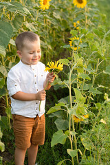 Boy in sunflowers. A small, happy and beautiful child stands in a field with yellow sunflowers in summer. Childhood concept. Symbol of Ukraine.
