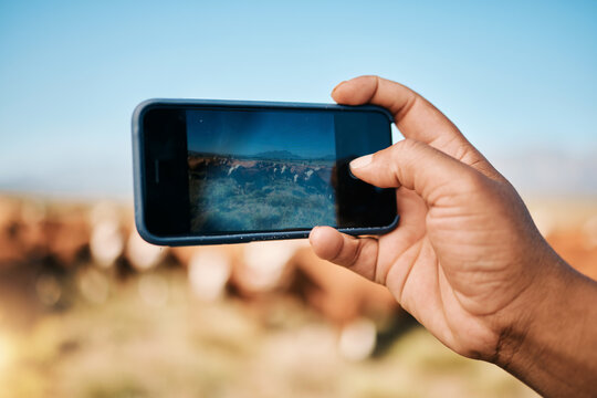 Person, hands and phone in photography, farming or animals for sustainability or natural agriculture. Closeup of farmer taking photo or picture of live stock or herd with mobile smartphone screen