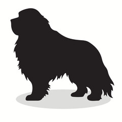 Newfoundland silhouettes and icons. Black flat color simple elegant Newfoundland animal vector and illustration.