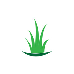 Green grass. Spring. Gazon. Vector icon. web version.