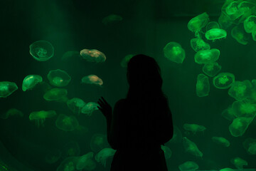 silhouette of a person on the water with jellyfish