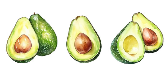 Set of watercolor avocado isolated on white