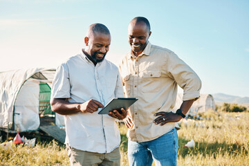 Black people, tablet and farm with chicken in agriculture together, live stock and outdoor crops....