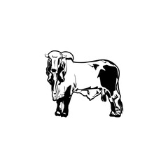 Farm cow graphic element vector Used to decorate the background image. For making website illustrations or decorating illustrations for presentations.