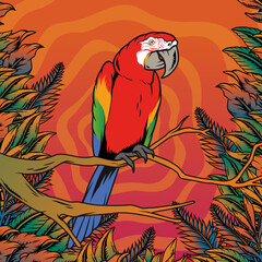 Guacamayo rojo, loro rojo tropical, loro rojo, vegetación, ave, animal, pájaro