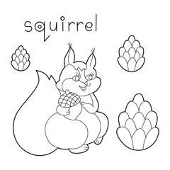 A Squirrei, colouring book for kids, vector illustration, Animals