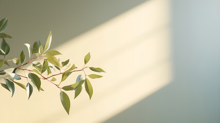 white wall with a soft olive shade with sun rays and a branch with green leaves, AI generated