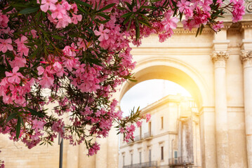 City of Lecce, Italy in summer with many pink flowers