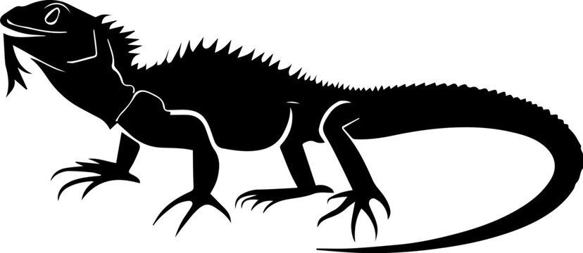 Black Dragon Lizard 2