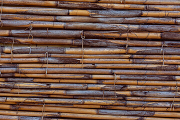 Detailed texture of a bamboo or reed fence.