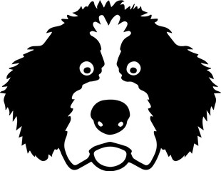 Bernedoodle dog icon 1