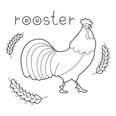 Fototapeta na wymiar A rooster, colouring book for kids, vector illustration, Animals