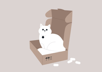 A funny cat lounging within a cardboard package, a delivery service scenario