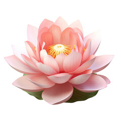 Lotus flower isolated on transparent background