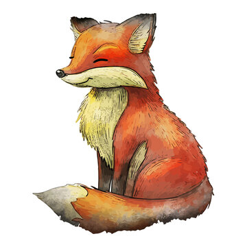 Fox Watercolor Illustration