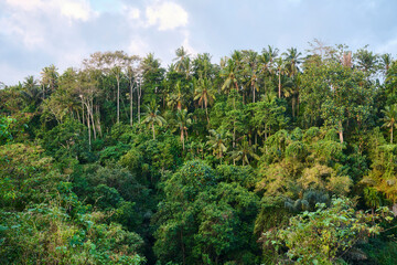 Paysages d'Indonésie