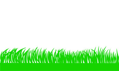Fototapeta premium Green grass background. Horizontal vector design of grass in the meadow on white background.