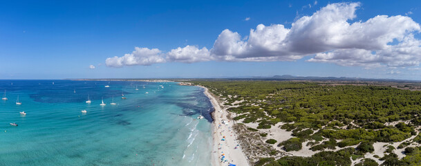 line of protected dunes, Es Trenc beach, municipality of Campos, Majorca, Balearic Islands, Spain