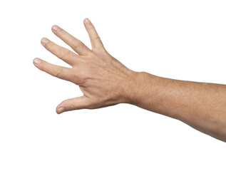 A male hand