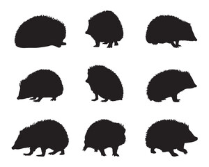 Hedgehog silhouette set - isolated vector images of wild animals © Анна Лепеха