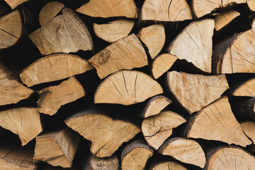 Fototapeta premium A lot of cutted logs. Wide banner or panorama wooden trunks. Closeup of logs of trees in nature. Stock for the winter.