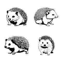 Hedgehogs - wild animals, vector design of hedgehogs isolated on white background © Анна Лепеха