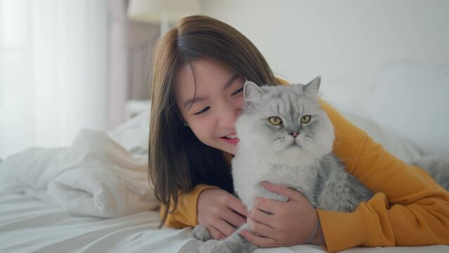 Happy asian woman hugging with fluffy grey cat with relax on the bed at home, A touching moment between a pet and its owner, Friendship with pets.	